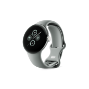 Google Pixel Watch 2 LTE золотистый, серый