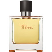 Аромат Hermes Terre D'Hermes EDP 75 мл