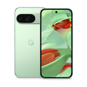 Google Pixel 9 12 ГБ/128 ГБ зеленый