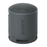 Портативная колонка Sony SRS-XB100/BCE черный