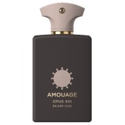 Amouage Opus XIII Silver Oud парфюмерная вода EDP 100 мл, унисекс